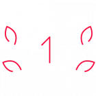 15 Years of Web Development Experience