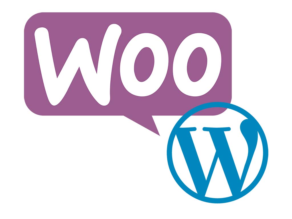 Online store development on WordPress